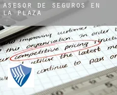 Asesor de seguros en  La Plaza