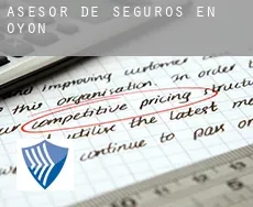 Asesor de seguros en  Oion / Oyón