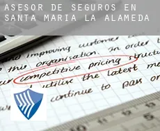 Asesor de seguros en  Santa María de la Alameda