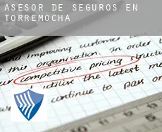 Asesor de seguros en  Torremocha