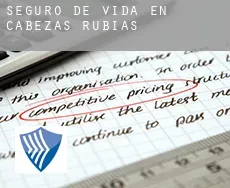 Seguro de vida en  Cabezas Rubias