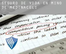 Seguro de vida en  Miño de Medinaceli