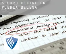 Seguro dental en  Puebla de Beleña