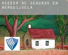 Asesor de seguros en  Herguijuela