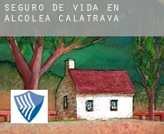 Seguro de vida en  Alcolea de Calatrava