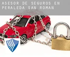 Asesor de seguros en  Peraleda de San Román