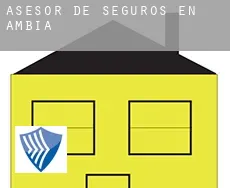 Asesor de seguros en  Ambía