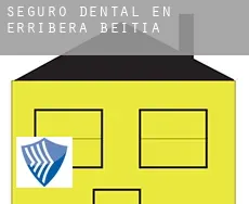 Seguro dental en  Erribera Beitia / Ribera Baja