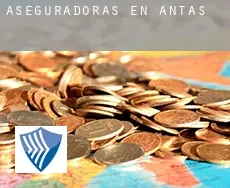 Aseguradoras en  Antas