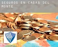 Seguros en  Casas del Monte