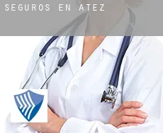 Seguros en  Atez