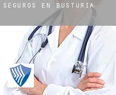 Seguros en  Busturia