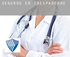 Seguros en  Trespaderne