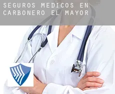 Seguros medicos en  Carbonero el Mayor