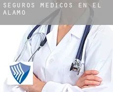 Seguros medicos en  El Álamo