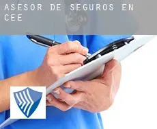 Asesor de seguros en  Cee