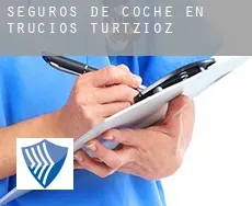 Seguros de coche en  Turtzioz / Trucios