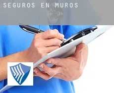 Seguros en  Muros