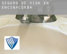 Seguro de vida en  Encinacorba