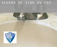 Seguro de vida en  Foz