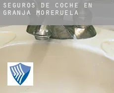 Seguros de coche en  Granja de Moreruela