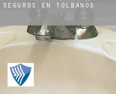 Seguros en  Tolbaños