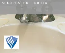 Seguros en  Urduña / Orduña