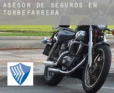 Asesor de seguros en  Torrefarrera