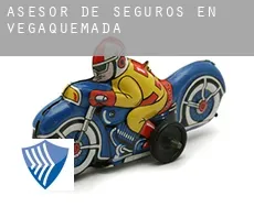 Asesor de seguros en  Vegaquemada