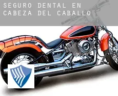 Seguro dental en  Cabeza del Caballo