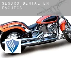 Seguro dental en  Facheca