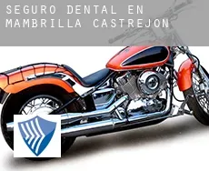 Seguro dental en  Mambrilla de Castrejón