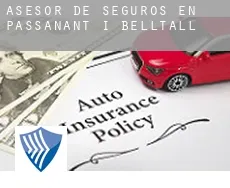 Asesor de seguros en  Passanant i Belltall