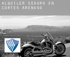 Alquiler seguro en  Cortes de Arenoso