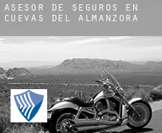 Asesor de seguros en  Cuevas del Almanzora