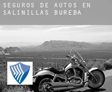 Seguros de autos en  Salinillas de Bureba