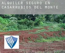 Alquiler seguro en  Casarrubios del Monte