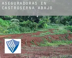 Aseguradoras en  Castroserna de Abajo