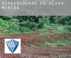 Aseguradoras en  Oliva de Mérida