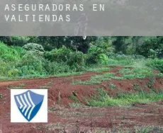 Aseguradoras en  Valtiendas