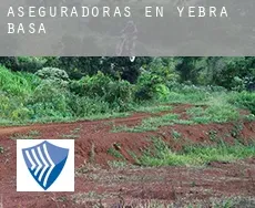 Aseguradoras en  Yebra de Basa