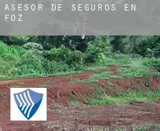 Asesor de seguros en  Foz