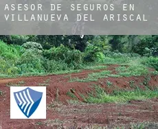 Asesor de seguros en  Villanueva del Ariscal