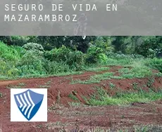 Seguro de vida en  Mazarambroz