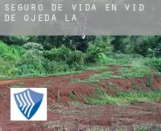 Seguro de vida en  Vid de Ojeda (La)