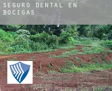 Seguro dental en  Bocigas