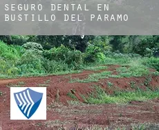 Seguro dental en  Bustillo del Páramo