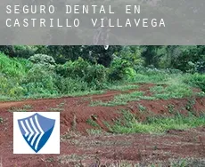 Seguro dental en  Castrillo de Villavega