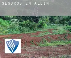 Seguros en  Allín