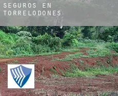 Seguros en  Torrelodones